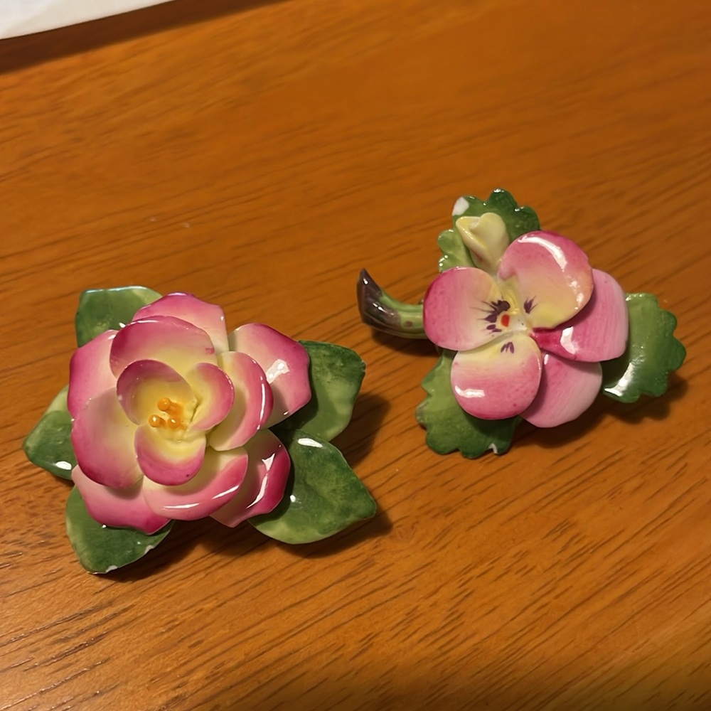 Vintage Staffordshire bone China brooch rose set